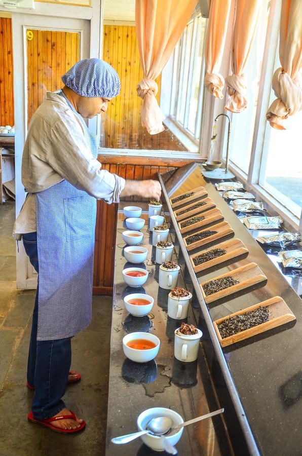 Tumsong Chiabari - The Tea Retreat Hotel Дарджилинг Екстериор снимка